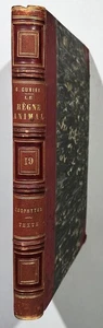 Georges Cuvier - Le Regne Animal. Vol. 19  Les Zoophytes / Wirbellose Tiere 1849 - Bild 1 von 1