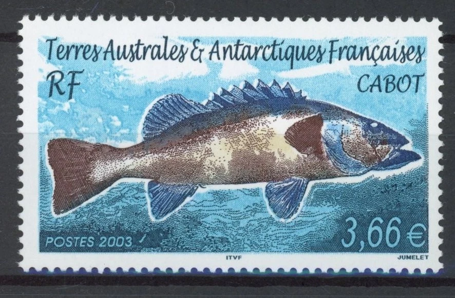 TAAF 2003 : Fish - Good Very Fine MNH Stamp - Image 1 of 1