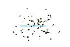 T135d Genuine Toshiba Screw Kit All Sizes T135d Series (Grd A)(Ce512)