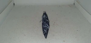 25/28mm Scale Indian Canoes - slightly misprinted* (Set 2) - Picture 1 of 4