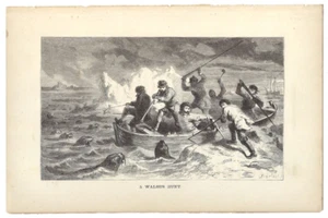 Antique Print A Walrus Hunt North Pole Expedition Hayes 1867 - Picture 1 of 2