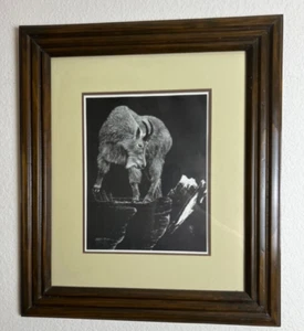Michael Allender S/N #125/300 Kunstziege 20 3/4"" x 23 3/4"" gerahmt ca 1975 - Bild 1 von 6
