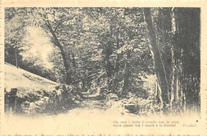 AL18-5B) CARTOLINA VERSI PAGNONI VIAGGIATA NAPOLI MAIORI SALERNO 1917 - Bild 1 von 2