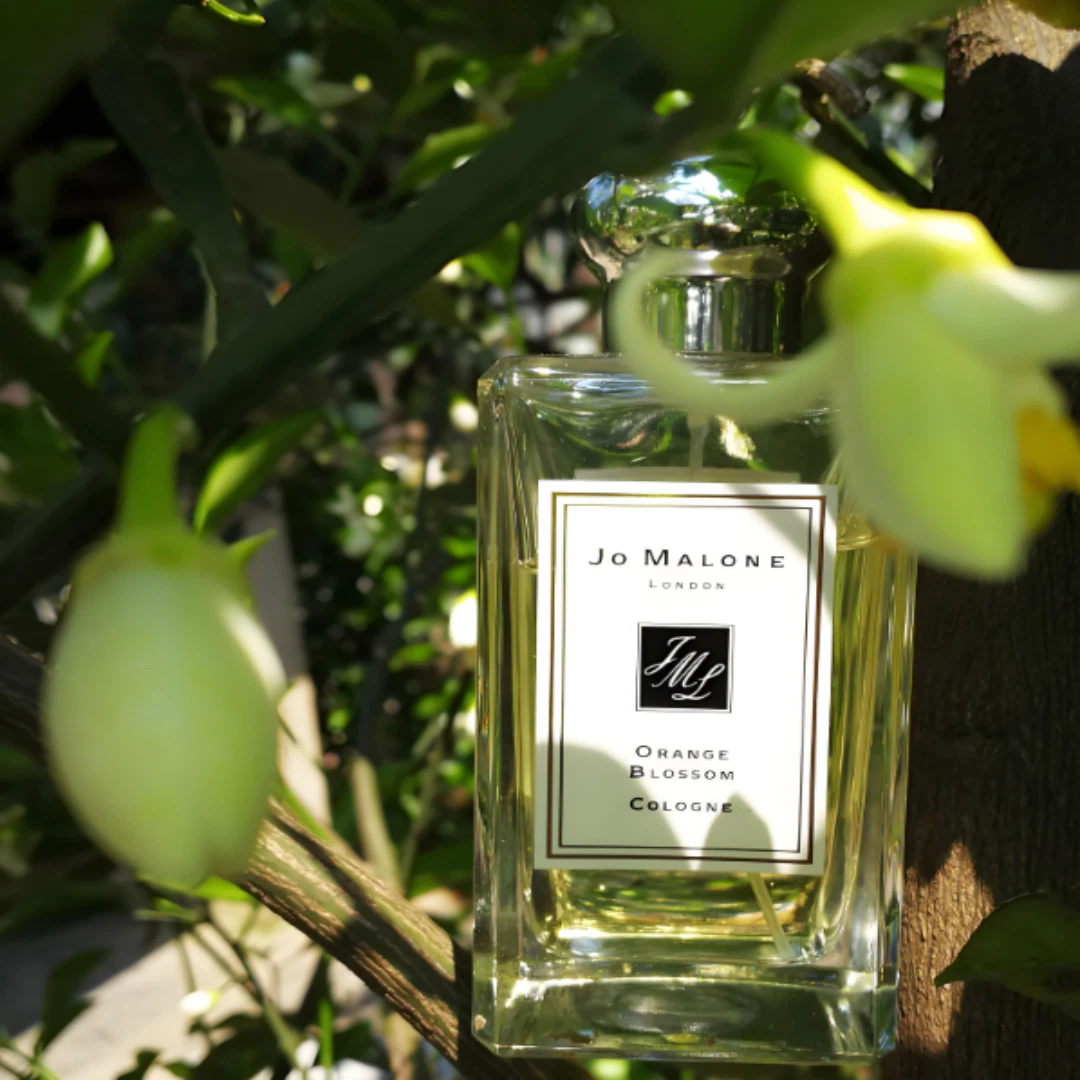 香水(女性用) JO MALONE Jo MALONE LONDON(ジョー マローン ロンドン)のレディース香水人気
