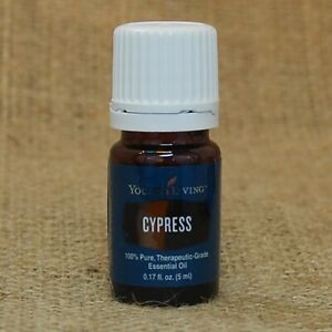 Young Living CYPRESS 5 mL Essential Oil NEW Unopened FREE SHIP 24 hrs aid COUGH