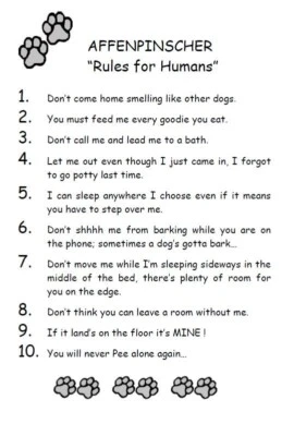 Affenpinscher "Rules for Humans" - CUSTOM MATTED - Dog Art Print : GIFT - Image 1 of 2