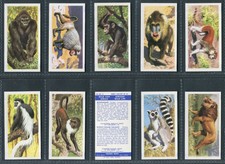 BROOKE BOND SOUTH AFRICAN - OUR PETS,WILD VAN AFRIKA TEA CARDS - PICK YOUR CARD