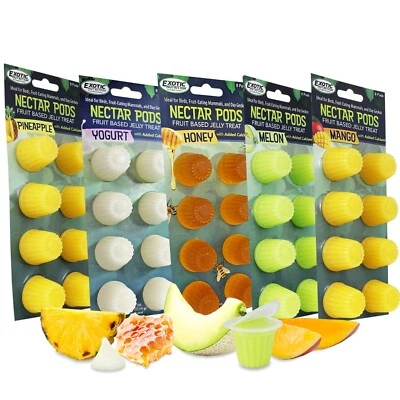EXOTIC NUTRITION Nectar Pods (Variety 5 Pack) - Jelly Fruit Treat - Sugar Gliders, Birds, Geckos