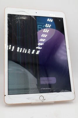 Apple iPad A2270 8th Generation 10,2 Zoll Wi-Fi  32GB Rosé Displayschaden #5035 - Bild 1 von 4