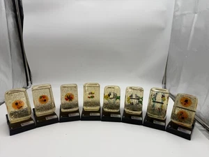 Vintage STACO Deluxe Animal Cell Division Biology Model Set - Picture 1 of 20