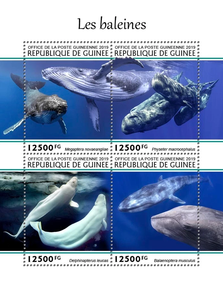 Киты марки Гвинея 2019 как новые без наклеек и следов почти как новые - Изображение 1 из 1