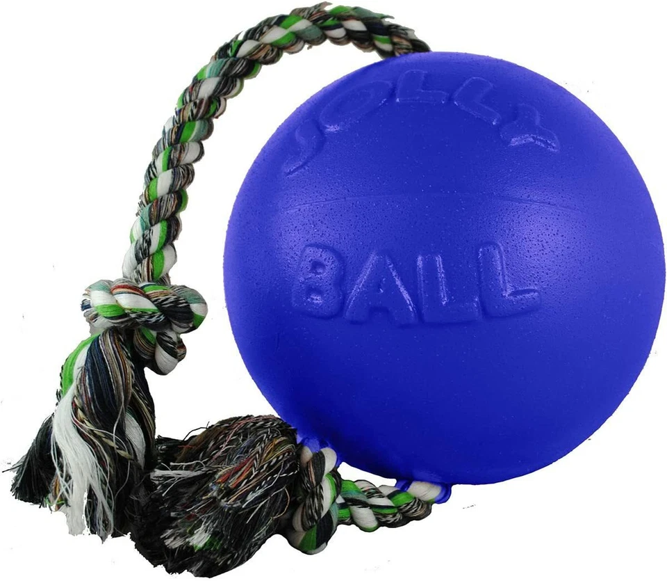 Jolly Pets Romp and Roll Ball Dog Toy Size: 4.5 inch, Color: Blue - Image 1 of 1