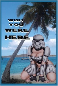 Stormtrooper Woman on Tropical Beach Metal Poster Sign (Honeymoon Beach USVI) - Picture 1 of 2