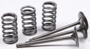 Pro X Steel Valves and Spring Kits Intake 28.SIS2424-2 - Foto 1 di 1