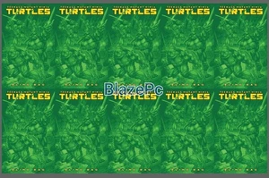 Teenage Mutant Ninja Turtles #13 Blind Bag Bundle F Options 2025 Presale 12/10 - Bild 1 von 4