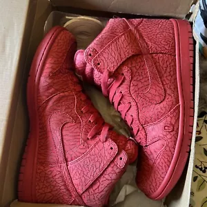 Size 10.5 - Nike Dunk Premium High Ultimate Glory - Picture 1 of 8