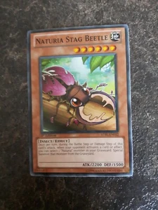 Naturia Stag Beetle 1st Edition Insect Effect YuGiOh Card DREV-EN032 - Picture 1 of 2