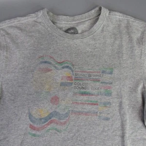 Camiseta gráfica Life is Good Music is What Color Sounds Like Heather Gray S - Imagen 1 de 9