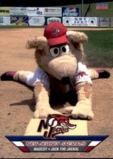 2006 New Jersey Jackals Choice #24 Jack the Jackal MASCOT - NM Baseball Card