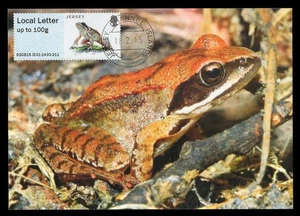 JERSEY 2015 Maximum Card ATM Post&Go Protected Species Agile frog Rana dalmatina - Picture 1 of 1