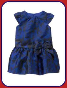 NWT Gymboree Best In Blue Dress Size 5T Floral Jacquard Toddler Girls Holiday - Picture 1 of 2