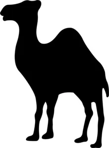 Camel Masonic 1 Color Window Wall Vinyl Decal Sticker Printed - Picture 1 of 5