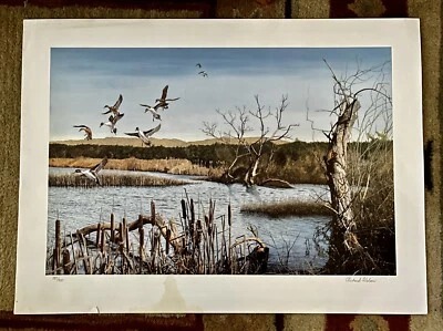 Impresión artística L/E ilimitada firmada y numerada de Richard Wilson Ducks 297/300 Foto 1 de 4