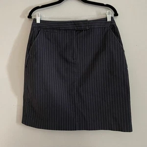 Talbots Navy Pinstripe Stretch Skirt – 10 P | Cotton Blend - Picture 1 of 8