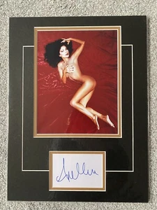 Apollonia Kotero Singer Hand Signed Card & Photo in 16x12 Mount. Sexy Image. - Picture 1 of 1