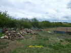 Photo 6x4 Piles of cut logs on Sandy Lane Castle Acre  c2015