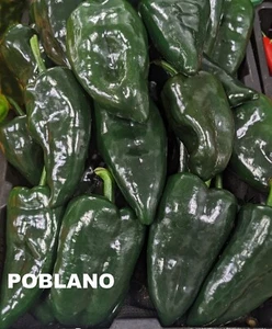 Seed- Mexican Beloved Hot Peppers Guajillo Poblano- (Chile Ancho) Jalapeno - Foto 1 di 26