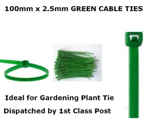 100mm x 2.5mm GREEN NYLON CABLE TIES GARDEN TIDY GARDENING PLANT PLASTIC WRAPS - Picture 1 of 2