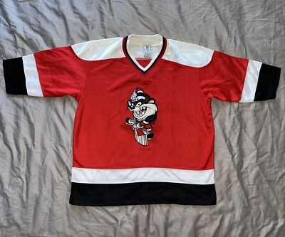 VTG 1997 Taz 32 Hockey Jersey Youth M WB Warner Bros. Studio Store Embroidered - Image 1 of 4