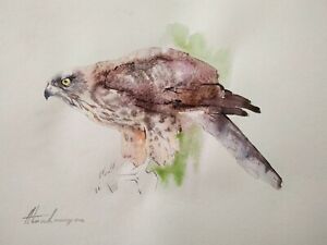 Faucon, oiseaux, aquarelle, fait main, peinture originale sur papier