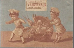 TESSERA COMMERCIALE PURIFICATORE DI SANGUE VEGETALE 1800, H.R. STEVENS, BOSTON, MASS - Foto 1 di 1