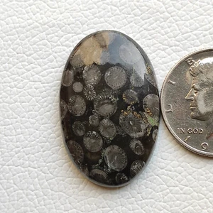Natural black fossil coral cabochon bryozoan fossilized coral gemstone R11735 - Picture 1 of 5
