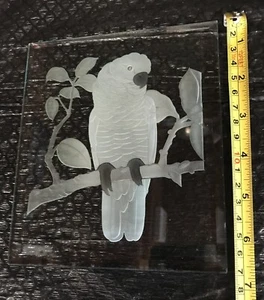 Etched Glass Cockatoo - Picture 1 of 3