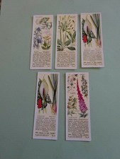 TYPHOO - WILD FLOWERS IN THEIR FAMILIES - 5/25 - NO.S  -  9 - 15 -17- 21 (2) 