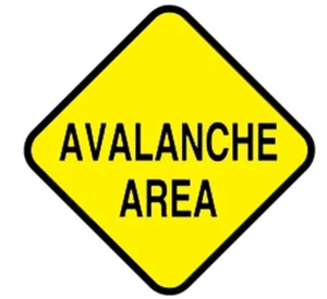 12" Avalanche Area Hi-Intensity Aluminum snowmobile, ATV TRAIL SIGN 20YR WRTY - Bild 1 von 2