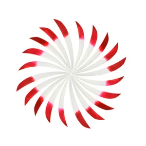 30pcs Archery 5'' Arrow Fletches Natural Turkey Feathers Right Wing DIY Bow Hunt - Picture 1 of 13