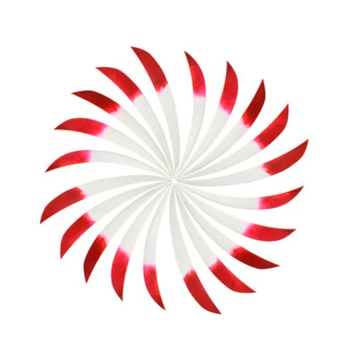 30pcs Archery 5'' Arrow Fletches Natural Turkey Feathers Right Wing DIY Bow Hunt - Image 1 of 4