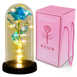 Crystal Galaxy Enchanted Blue Rose LED In Dome Glass Valentines Day Gift for Her - Picture 1 of 17