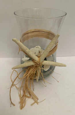 Jarrón de vidrio con estrellas de mar, vidrio de mar y cuerda náutica / acento de decoración del hogar costero Foto 1 de 4