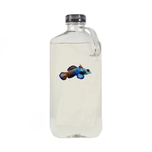 32 oz Copepod Bottles - 5 Species - With Phyto in bottle - Free Shipping - Picture 1 of 1