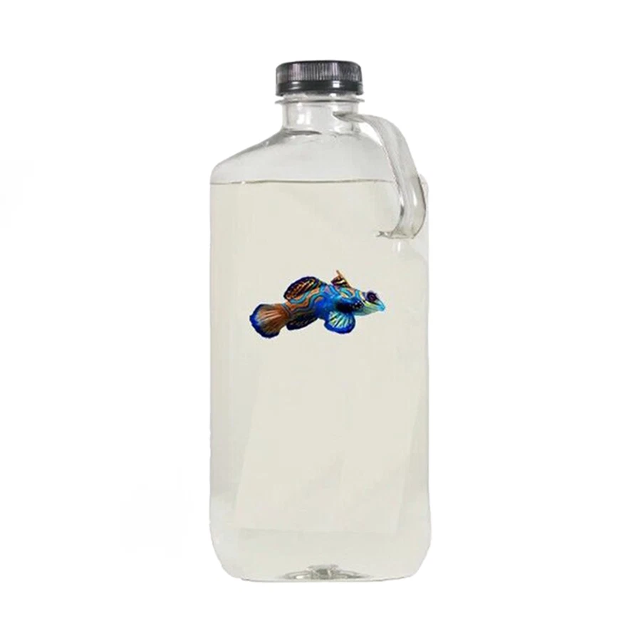 COPEPODS FOR SALE 32 oz Copepod Bottles - 5 Species - With Phyto in bottle - Free Shipping