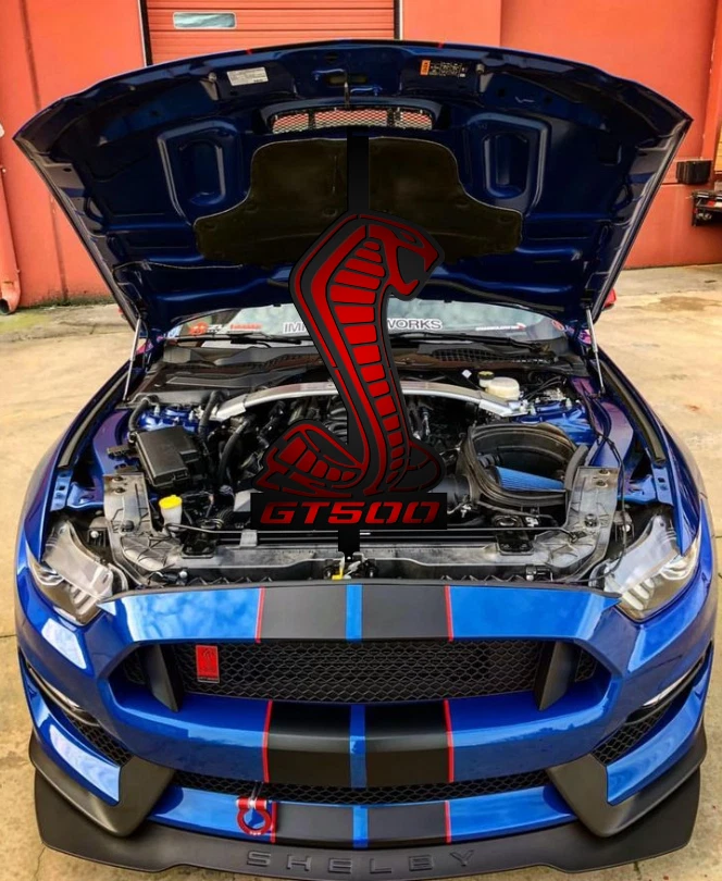 Shelby gt500-gt350 Mustang capó hélice para exposición de autos (personalización disponible) Foto 1 de 4