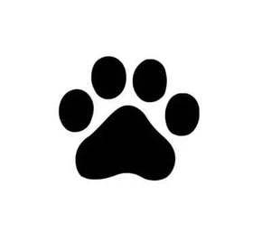 Paw Print Vinyl Decal Sticker Footprint Dogs Cats - Picture 1 of 2