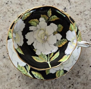 Coppa Paragon Vintage Nero, Dischi, Gardenia Bianca, Doppia Garanzia, Inghilterra - Foto 1 di 7