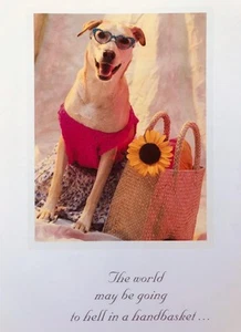 FRIENDSHIP CARD "World May Be Going to Hell but Don't We Look Fabulous!?!" DOG - Picture 1 of 2