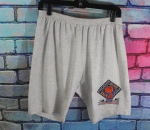 Vintage 90s Locker Line Phoenix Suns Shorts Mens Large L 1993 NBA Finals Gray - Picture 1 of 4